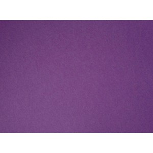 COLOR PLUS A4 120GRS METALIZADO 10FLS VIOLETA JOTAPEL