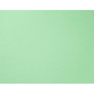 COLOR PLUS A4 180G 50FLS TAHITI  JOTAPEL