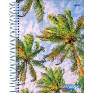 CADERNO UNIVERSITÁRIO CAPA DURA 96FLS BRASILIDADE JANDAIA